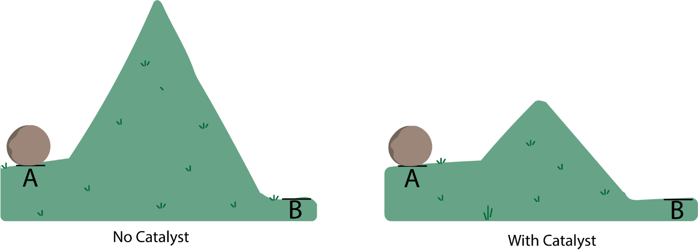 Catalyzing Interest in Catalysis What is Catalysis? Gebbie Lab UW